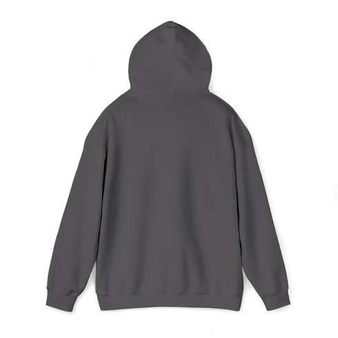 Women Hoodies Women Heavy Blend™ Hooded Sweatshirt Warms hoodies